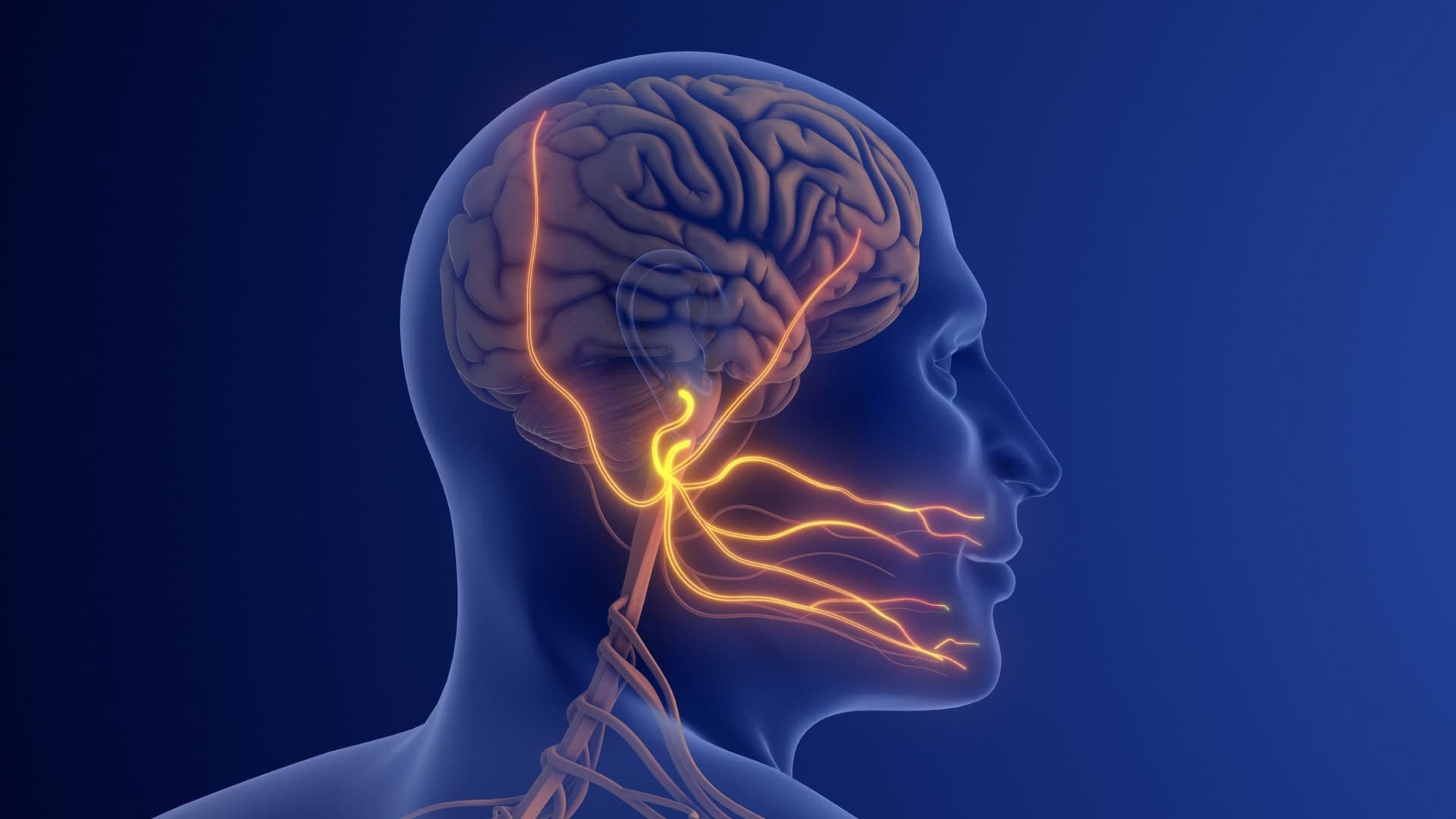 neuralgia-do-trigmeo-1-1920x1080